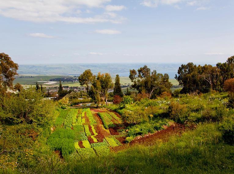 Mizpe Hayamim By Isrotel Exclusive Rosh Pinna Eksteriør billede